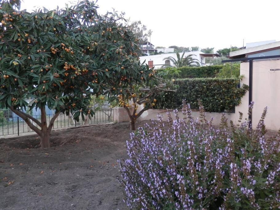 Villa Casa Catalogna , Vicino Al Centro Storico. Lipari  Exterior foto
